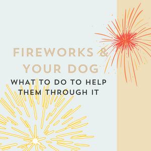 Fireworks and your dog – what to do to help them through it