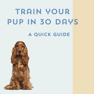 How to Train your Canine Companion in 30 Days