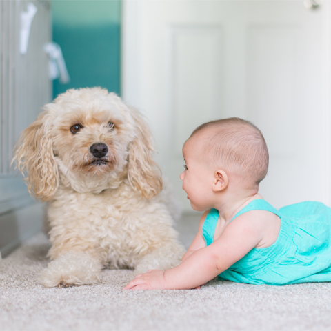 Baby-proofing your house