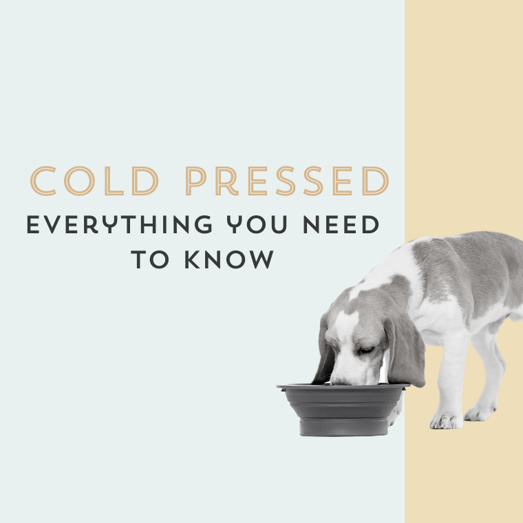 What is Cold-Pressed Dog Food?