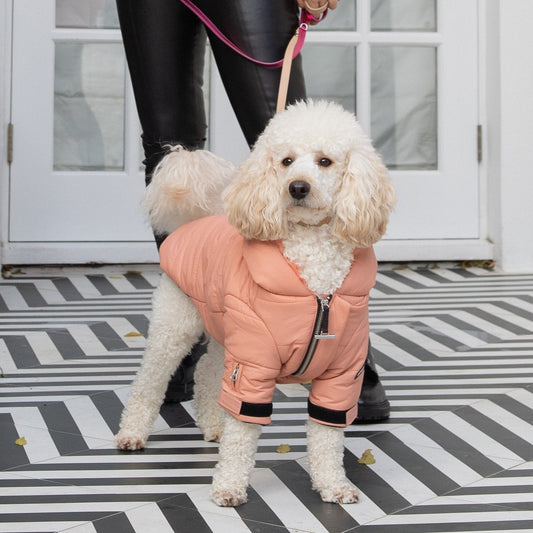Faux Fur Zip-Up Dog Puffer Jacket with Hood