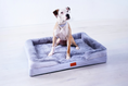 Load image into Gallery viewer, The Belgravia Orthopaedic Dog Sofa