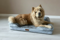 Load image into Gallery viewer, The Belgravia Orthopaedic Dog Sofa