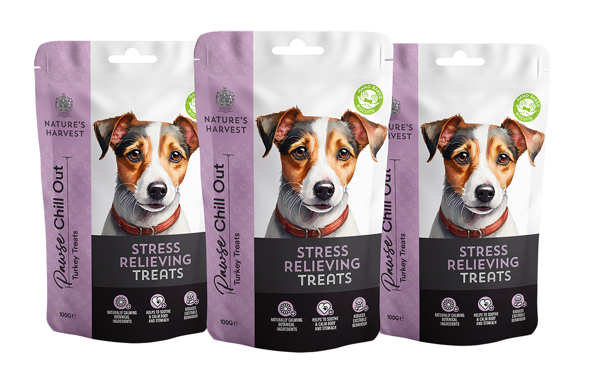 Stress Relieving Dog Treats 'Chill Out' 100g.