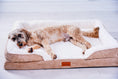 Load image into Gallery viewer, Washable Orthopaedic Dog Sofa Bed - Large