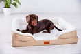 Load image into Gallery viewer, Washable Orthopaedic Dog Sofa Bed - Medium