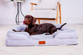 Load image into Gallery viewer, Washable Orthopaedic Dog Sofa Bed - Medium