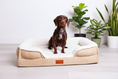 Load image into Gallery viewer, The Belgravia Orthopaedic Dog Sofa