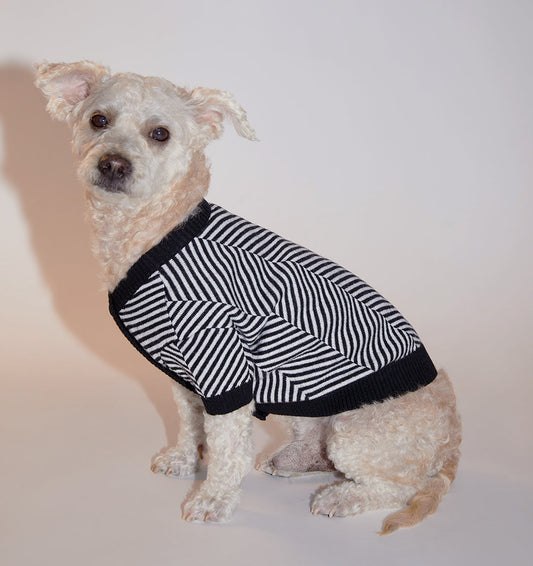 Zig Zag Cardigan Sweater