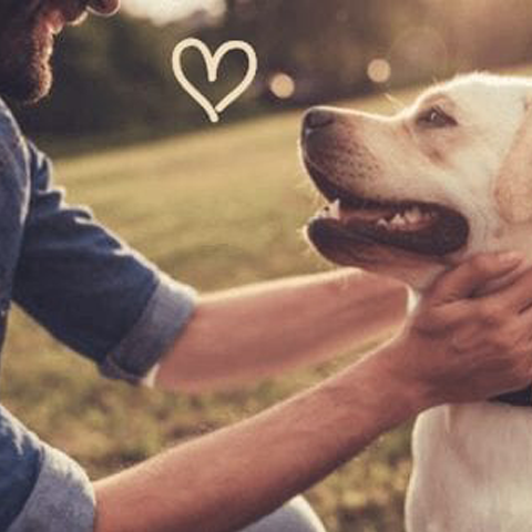 Pets & mental health