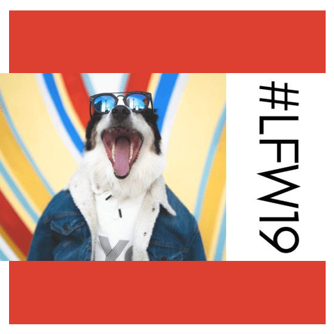 London Fashion Week - Canine Stylee