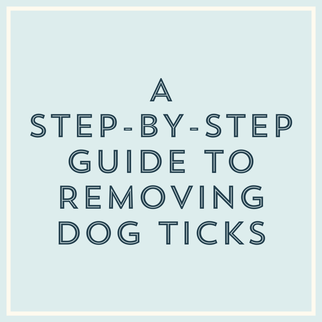 Step-by-Step Guide to Tick Removal