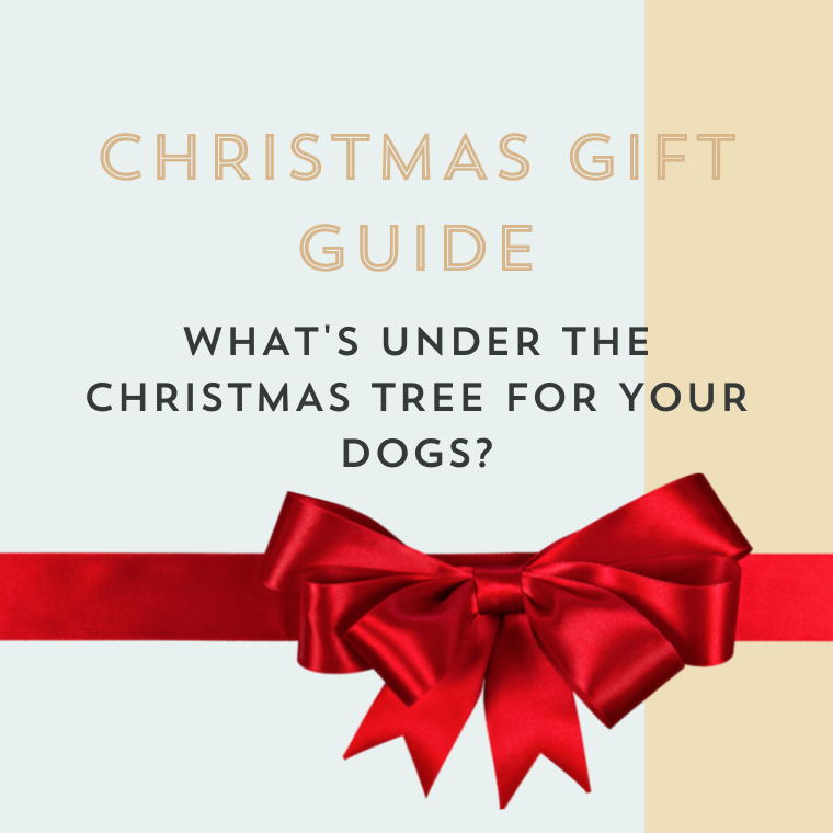 Christmas Presents for your Four-Legged Friend