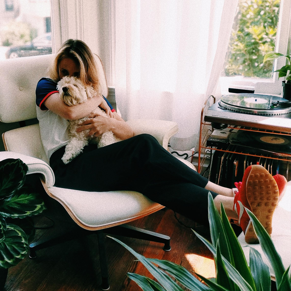 Post Lockdown and the Effect on New Dog Owner's