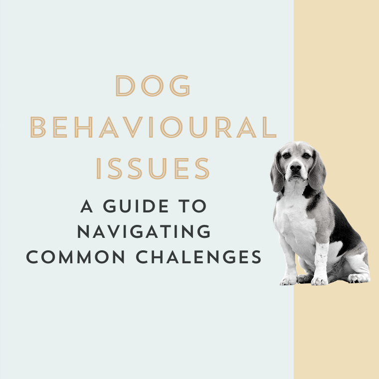 Your Companion's Guide: Navigating the Top 5 Dog Behavioural Challenges