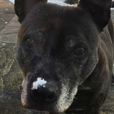 This is Mary: part one