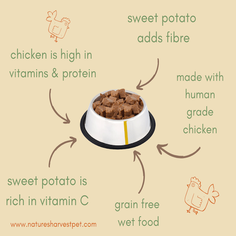 The humble sweet potato