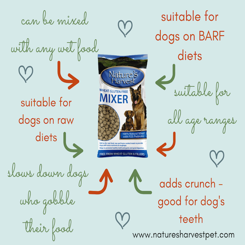 Wheat gluten and dogs - what's the story?