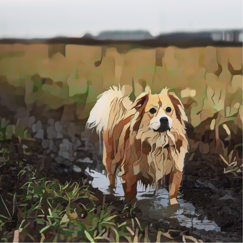 Alabama Rot in Dogs: A Calm, Caring Guide for Mindful Dog Owners