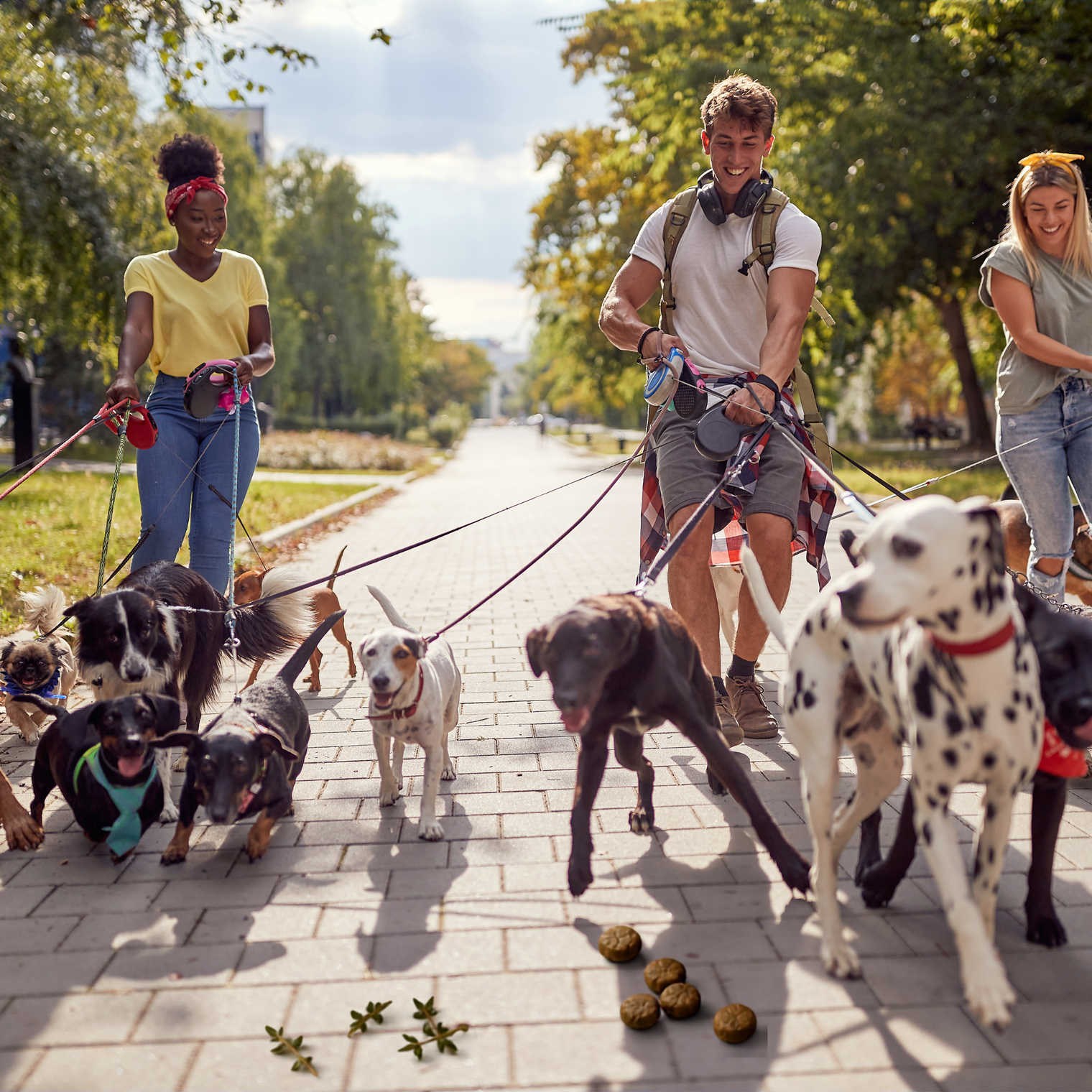 How Dogs Bring Communities Together, One Walk at a Time
