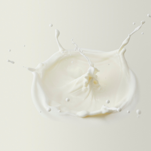 Why Feed a Dairy-Free Diet? The Benefits of Dairy-Free Dog Food