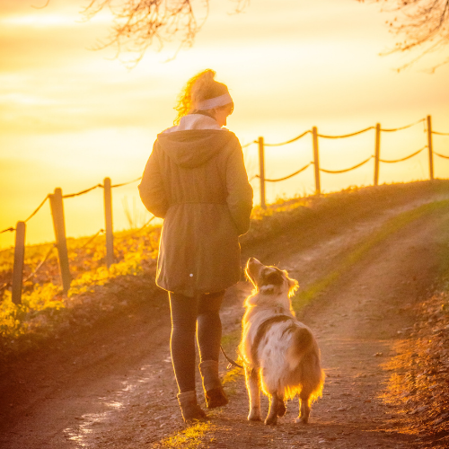 It's official...owning a dog makes you fitter!!