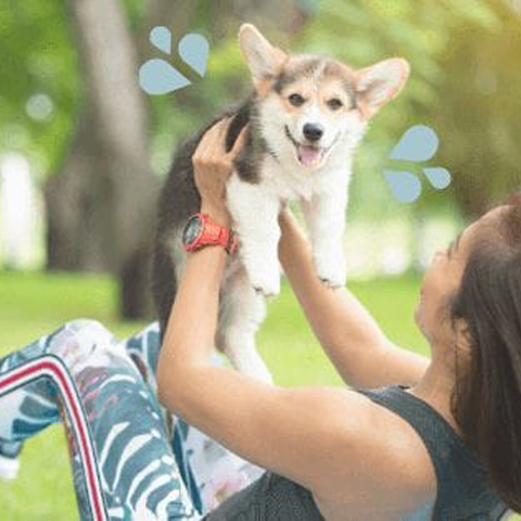 Exercise and fitness training with your dog