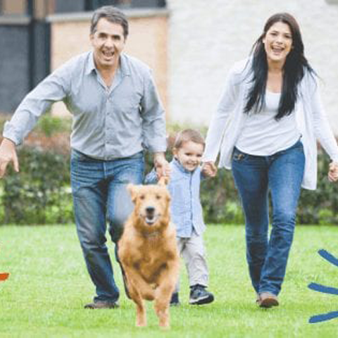 Family fun with your dog