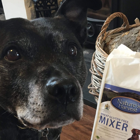 This is Mary: part two