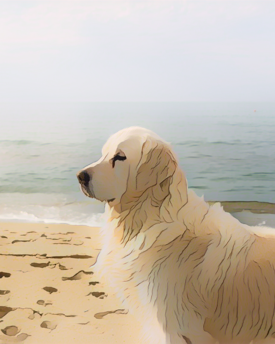 May Bank Holiday Dog Days, Fuel for Every Adventure