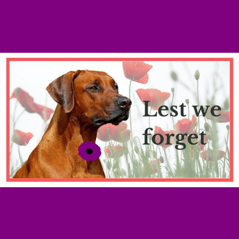 Remembrance and the purple poppy