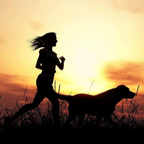 National Women's Health and Fitness Day