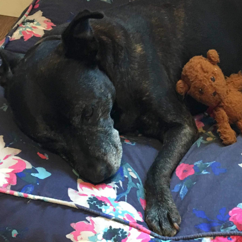 This is Mary: part three