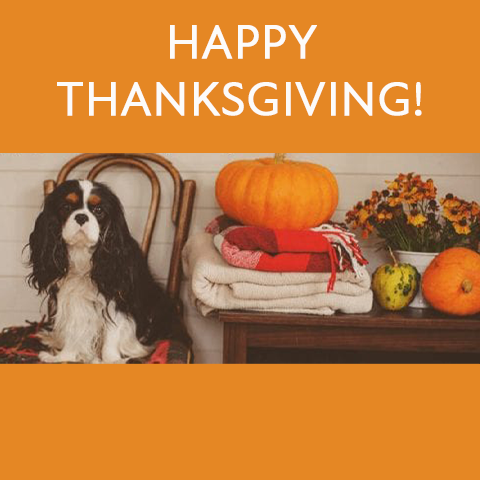 Reasons to be thankful