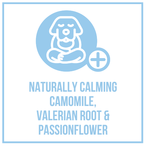 A natural and effective calming treatment for your dog