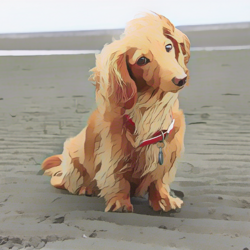 A natural and effective calming treatment for your dog