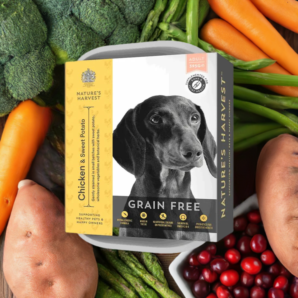 Grain free chicken and sweet potato dog food best sale