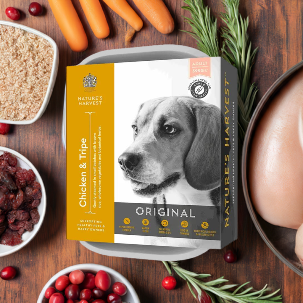 Chicken, Tripe and Brown Rice Adult Dog Food 10 pack