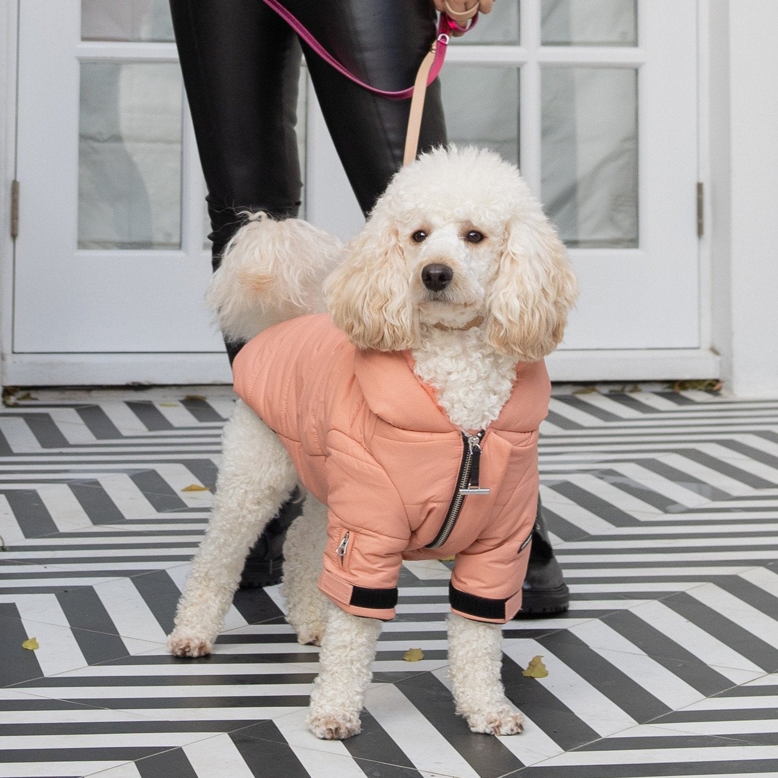 Faux Fur Zip-Up Dog Puffer Jacket with Hood
