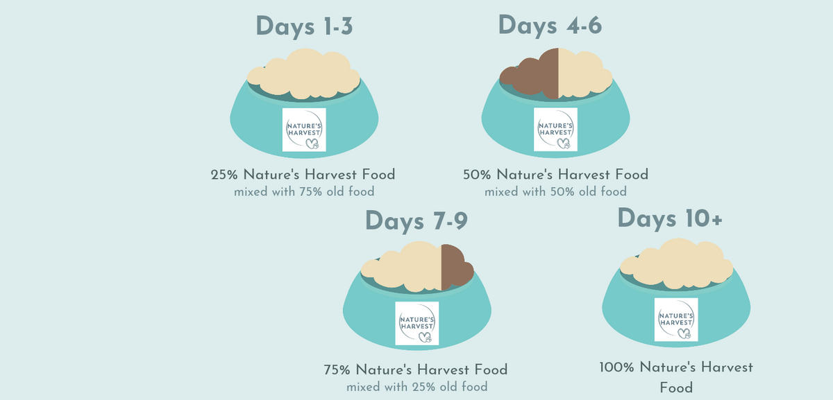 Example gradual food transition: days 1–3, 25% new and 75% old; days 4–6, half new and half old; days 7–9, 75% new and 25% old; days 10 onwards, all new food.