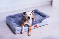 Load image into Gallery viewer, Washable Orthopaedic Dog Sofa Bed - Large
