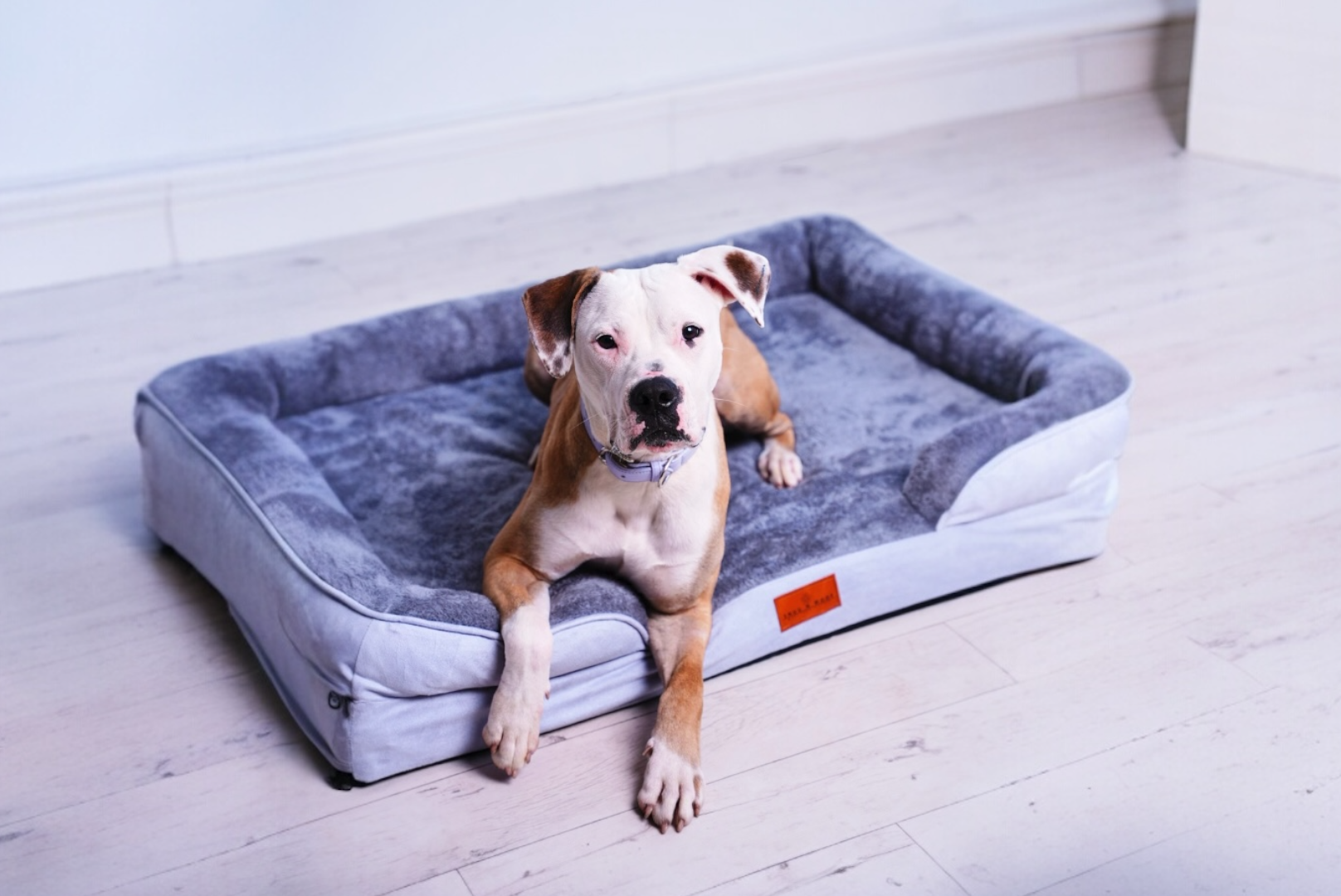 Washable Orthopaedic Dog Sofa Bed - Large