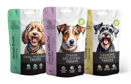 Oral Hygiene Dog Treats 'Refresh Breath' 100g - old.