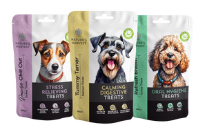 Calming Digestive Dog Treats 'Tummy Tamer' 100g