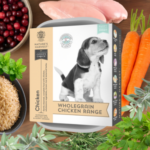 Nature's Harvest Wholegrain Chicken Range puppy food packaging with ingredients like carrots, cranberries, and chicken on a wooden surface.