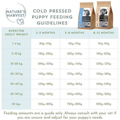 Cold Pressed Ocean Fish and Sweet Potato 3KG Hypoallergenic Dog Food - Raw Made Easy