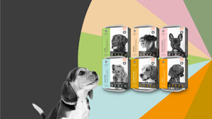 Nature's Harvest Original Natural Dog Food Range