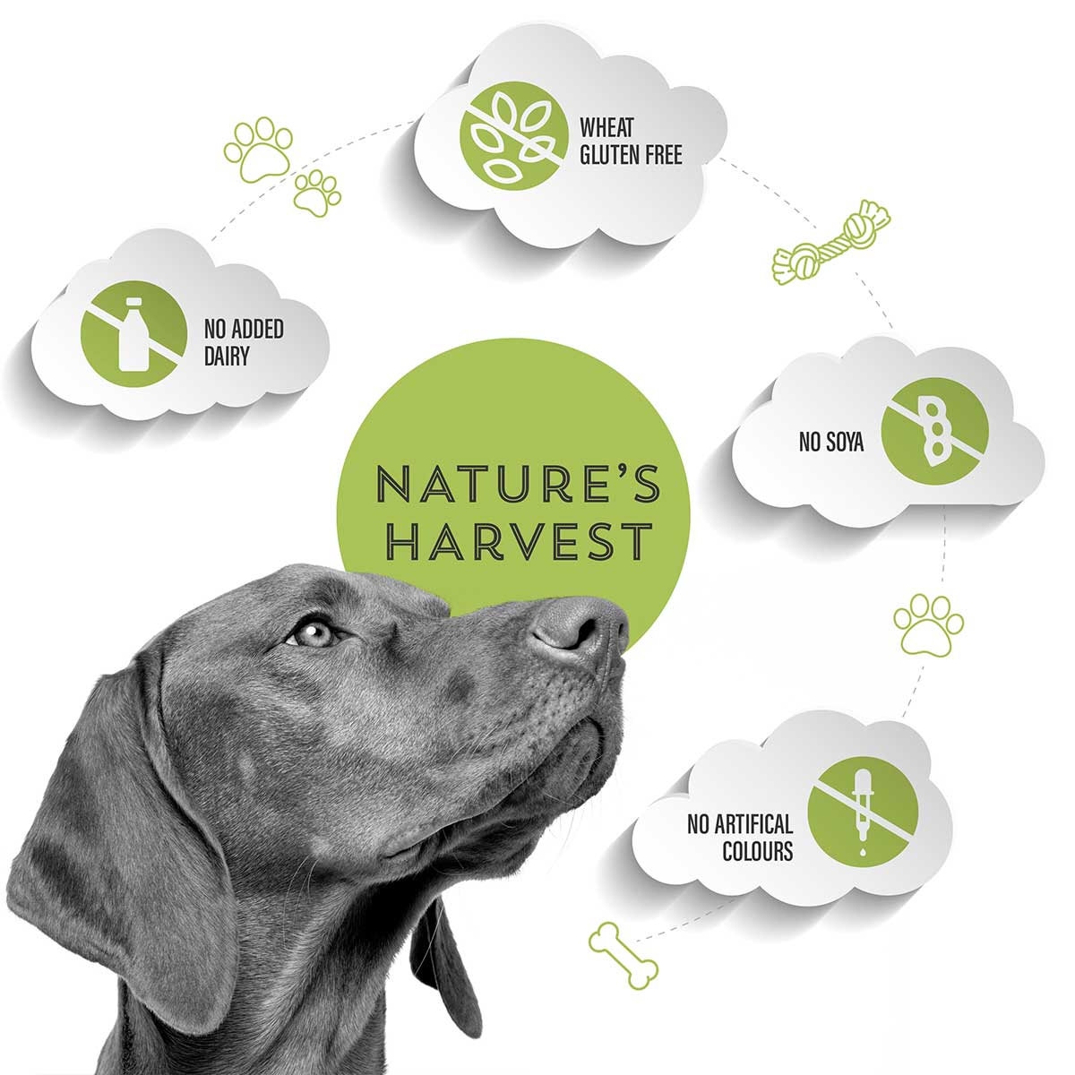 Nature's Harvest Wet Dog Food Grain Free Adult Lamb Key Selling Points 1