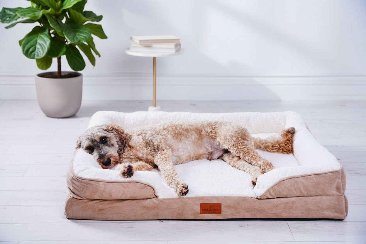 The Belgravia Orthopaedic Dog Sofa