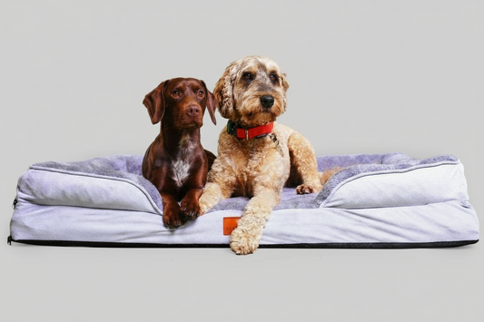 Washable Orthopaedic Dog Sofa Bed - XL